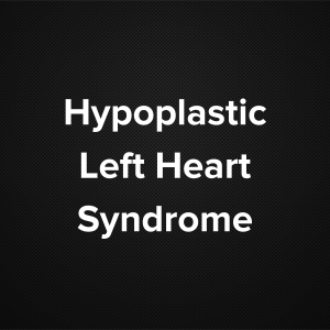 Hypoplastic Left Heart Syndrome