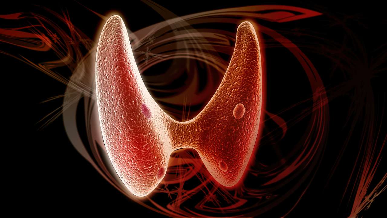 Hypothyroidism Overview