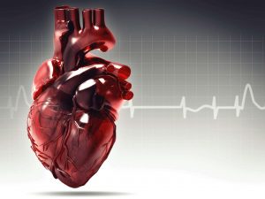 Know how stress increases the risk for heart disease