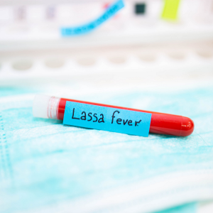 Lassa Fever