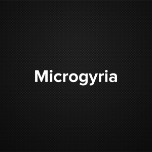 Microgyria