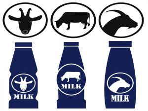 Milk – Which type suits you best?