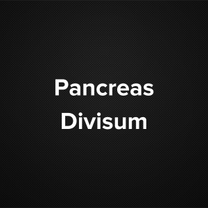 Pancreas Divisum