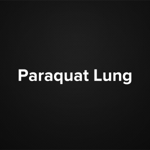 Paraquat lung