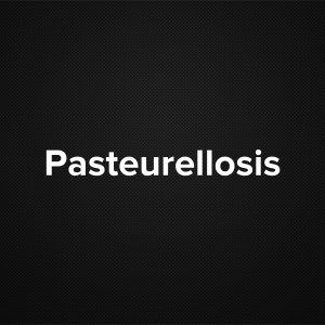 Pasteurellosis