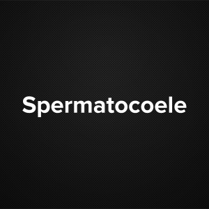 Spermatocoele