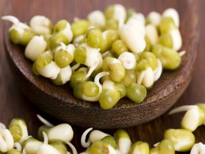 Sprouts – The Tiny Wriggly Foods for Good Health!