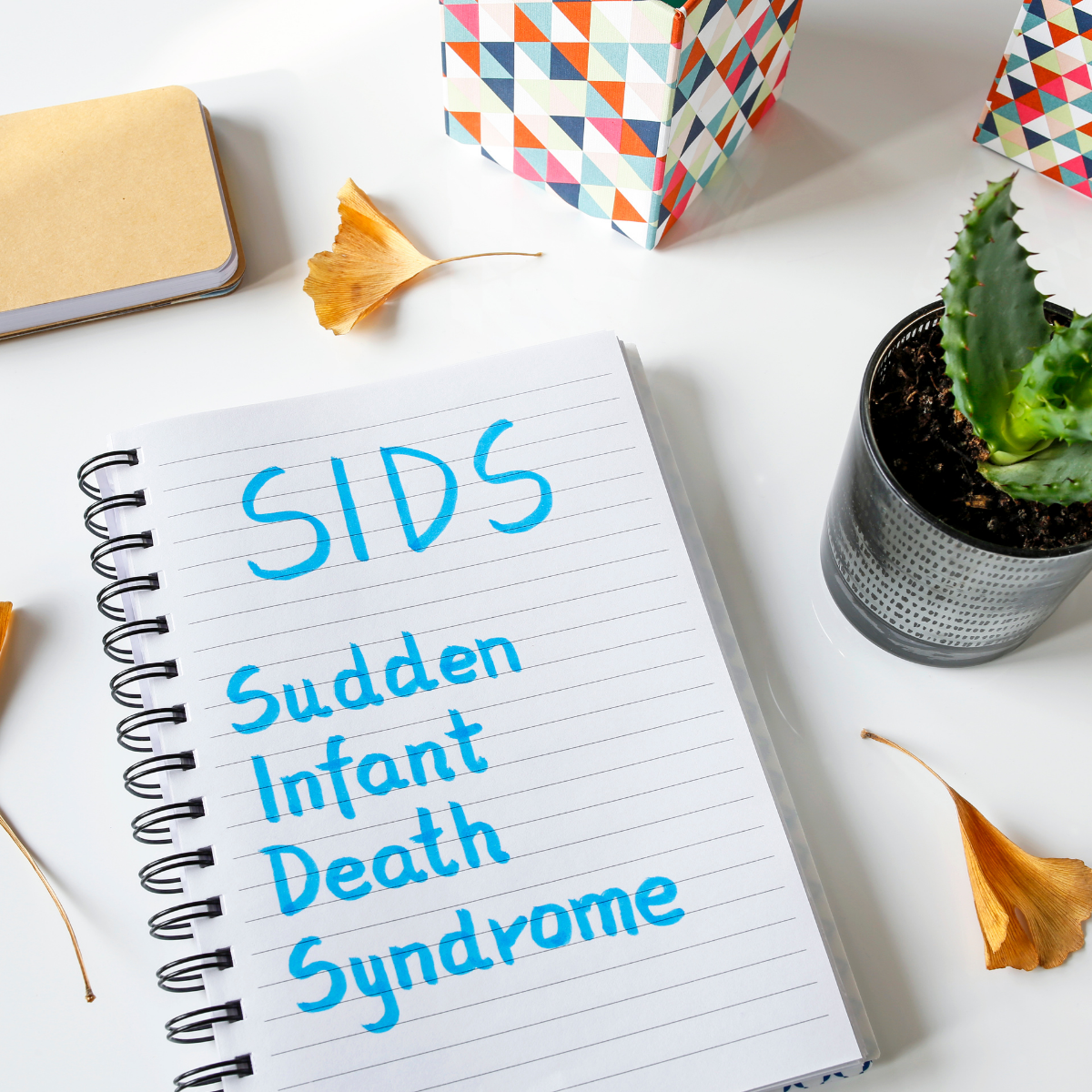 Sudden Infant Death Syndrome