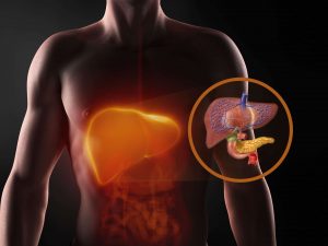 Symptoms, diagnosis and treatment of alcoholic liver disease