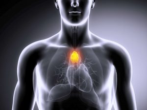 Thyroid may make your heart flutter!