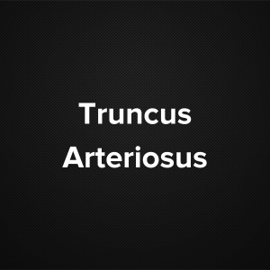 Truncus Arteriosus