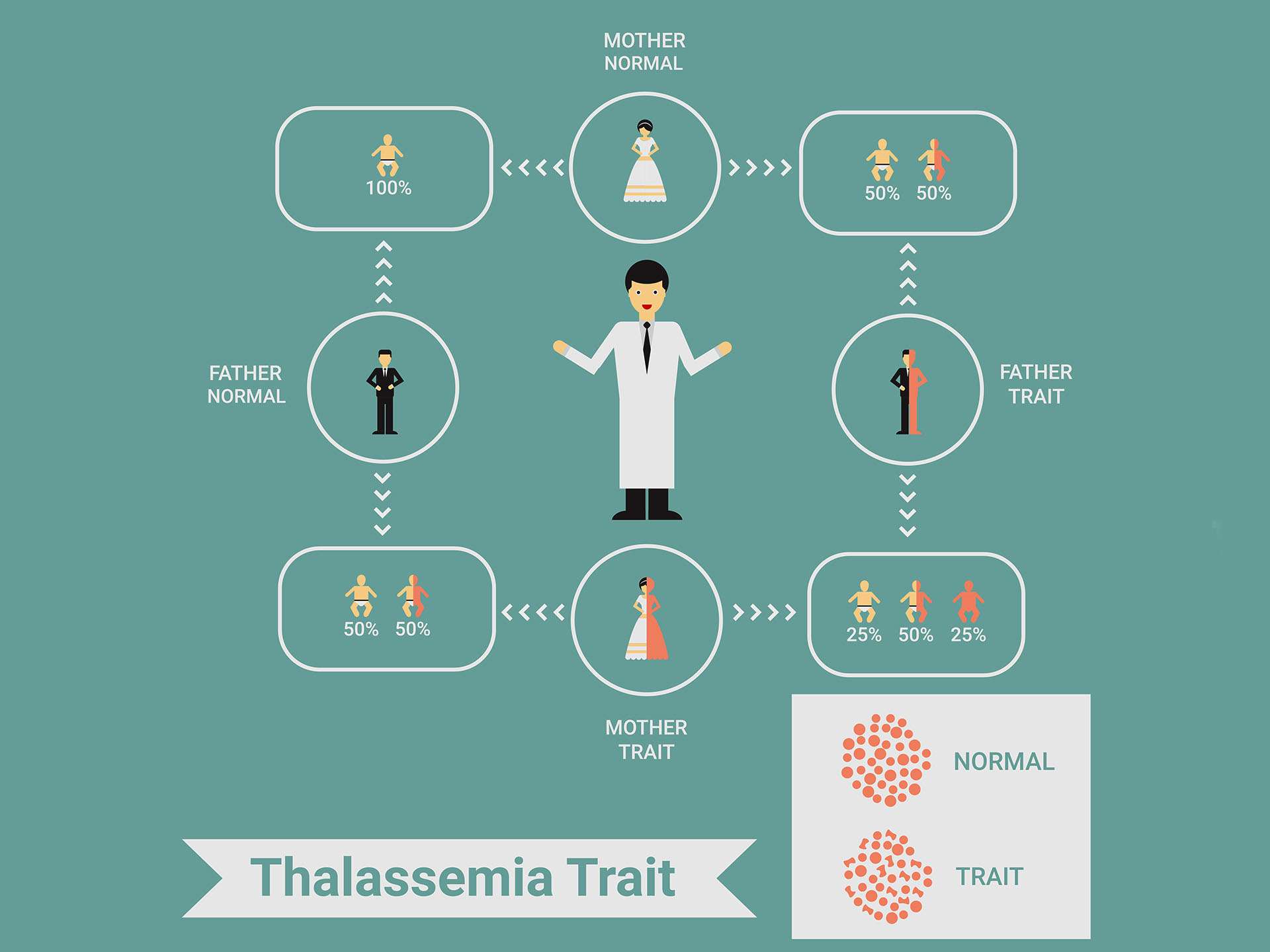 What is thalassemia?