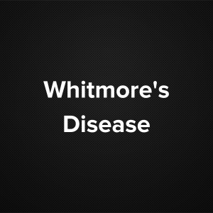 Whitmore’s Disease