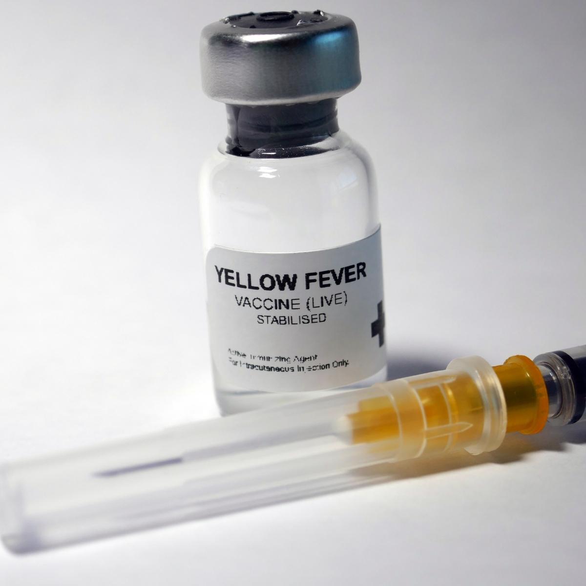 Yellow Fever