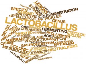 Benefits of Lactobacillus acidophilus